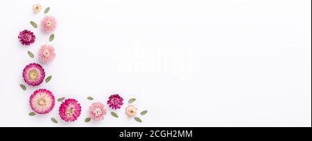 Banner. Blumenzusammensetzung. Eukalyptuszweige und trockene Blüten auf weißem Hintergrund. Flach liegend. Draufsicht. Kopierbereich - Bild Stockfoto