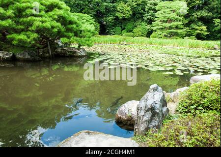 Zen-Garten mit Lotusblätter und einem Teich in Kyoto, Japan Stockfoto