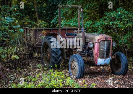 Verlassene alte rote 50er Jahre Bauernhof Traktor mit Anhänger Stockfoto