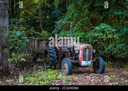 Verlassene alte rote 50er Jahre Bauernhof Traktor mit Anhänger Stockfoto