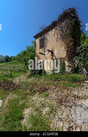 Ein altes ruiniertes Gebäude in den Weinbergen unter blauem Himmel. Langhe (Piemont, Italien) Stockfoto
