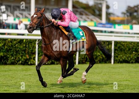 William Buick auf der spanischen Mission Gewinne die Einsätze des Doncaster Cup während des dritten Tages des William Hill St Leger Festivals auf der Doncaster Racecourse. Stockfoto