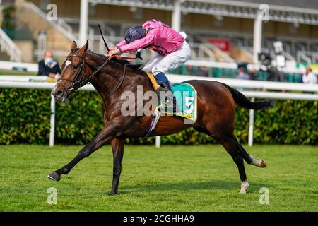 William Buick auf der spanischen Mission Gewinne die Einsätze des Doncaster Cup während des dritten Tages des William Hill St Leger Festivals auf der Doncaster Racecourse. Stockfoto