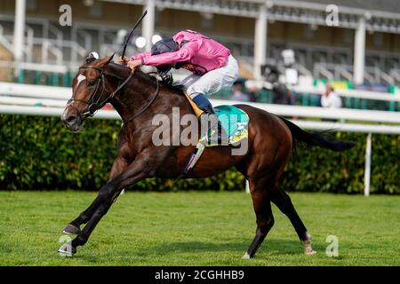 William Buick auf der spanischen Mission Gewinne die Einsätze des Doncaster Cup während des dritten Tages des William Hill St Leger Festivals auf der Doncaster Racecourse. Stockfoto