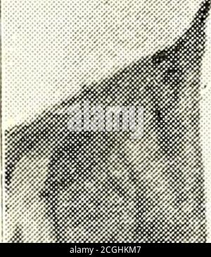 . Konferenzzeitschriften North Carolina, 1828-1938. . IMHi JmsSM./ EEV. E.C. Stubbins, Pastor von Orange Circuit, und durch den Herausgeber der Methodist Protestant Herald, am Sonntagnachmittag, 30. November 1913. In seinen Jahren im Ministerium, Bro. Fogleman hat eine gute Arbeit geleistet, eine gute Arbeit für die methodistische evangelische Kirche in North Carolina.sein Eifer, seine Entschlossenheit, sein Glaube an Gott, Stockfoto