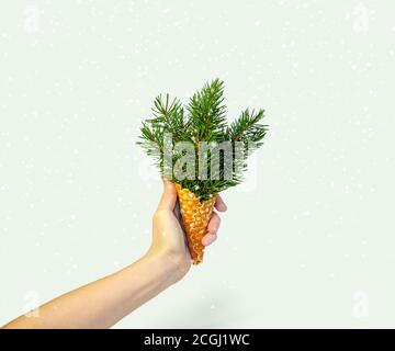 Weihnachtsbaum Eis in Frau Hand auf Ligth Hintergrund. Neujahrskonzept. Minimale Urlaubszusammensetzung. Speicherplatz Kopieren. Stockfoto