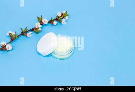 Gesichtscreme in einem Glas mit offenem Deckel. Zweig mit Blumen im Hintergrund. Freier Speicherplatz für Text. Stockfoto