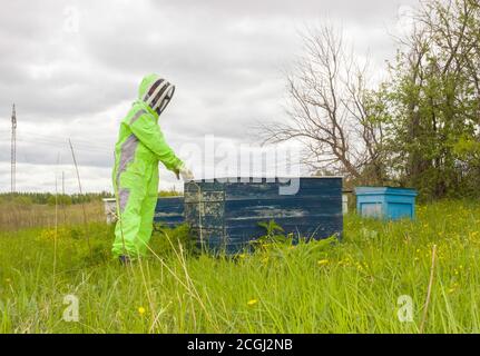 Ein Mann in einem Imkerschutzanzug an der Imkerei. Helles Kostüm, Schutz vor Bienen, Honigsammlung. Stockfoto