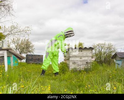 Ein Mann in einem Imkerschutzanzug an der Imkerei. Helles Kostüm, Schutz vor Bienen, Honigsammlung. Stockfoto