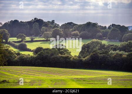 Gun Hill, 10. September 2020: Blick über die Felder am späten Nachmittag auf Gun Hill, East Sussex Stockfoto