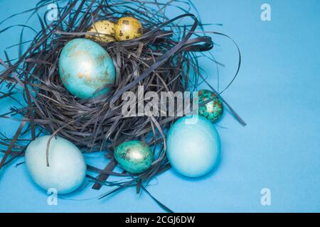 Blau und Gold Huhn und Wachtel Ostereier in einem Nest auf blauem Hintergrund. Freier Speicherplatz für Text. Frohe Ostern Stockfoto