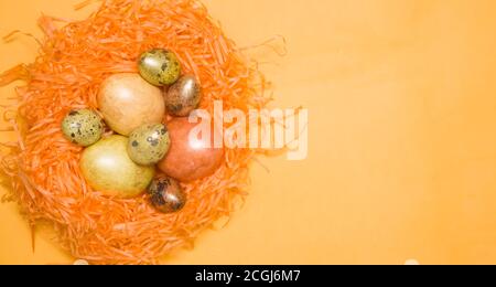 Farbige Ostereier sind Gold und gelb in einem orangefarbenen Nest auf gelbem Hintergrund, freier Platz für Text. Frohe Ostern! Stockfoto