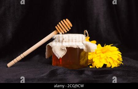 Bienenhonig in einem Glas mit Deckel, einem Holzspatel und gelben Blüten auf schwarzem Hintergrund. Gesunde Lebensmittel, landwirtschaftliche Produkte. Stockfoto