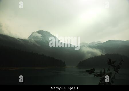 Stimmungsvolle Fotos in montenegro im durmitor Nationalpark nach Regen in einem Kiefernwald auf einem schwarzen See in der Nähe von zabljak Berg, Tourismus in europa, Nebel Stockfoto