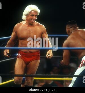 Ringer Ric Flair, 1987, Foto von John Barrett/PHOTOlink Stockfoto