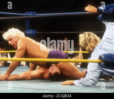 Ringer Ric Flair, 1987, Foto von John Barrett/PHOTOlink Stockfoto