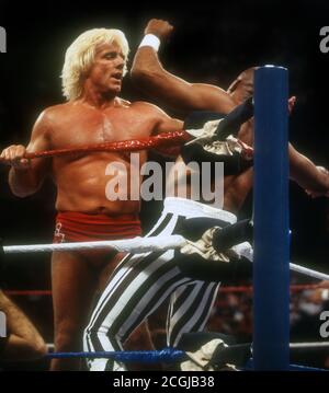 Ringer Ric Flair, 1987, Foto von John Barrett/PHOTOlink Stockfoto