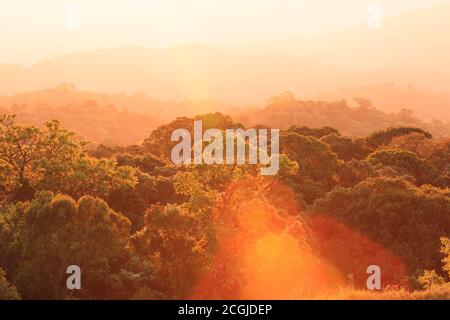 Glühende Sonne, die über dem Baldachin des Himalaya-Waldes und der Berge im Hintergrund aufgeht. Stockfoto