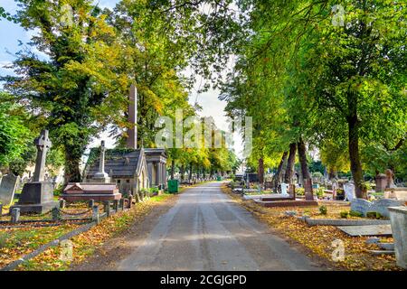 Gasse auf dem Kensal Green Cemetery im Herbst, London, Großbritannien Stockfoto