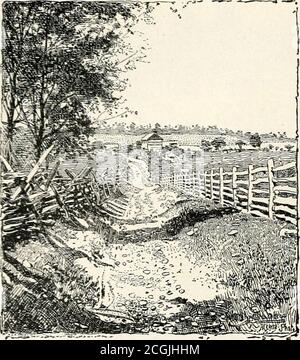 . Abraham Lincoln und die Schlachten des Bürgerkrieges . SÜDÖSTLICHER ABSCHNITT DER VERSUNKENEN STRASSE. (AUS EINEM AKTUELLEN FOTO.) Vol. XXXII.- tf. HARPERS FÄHRE UND SHARPSBURG. DIE VERSUNKENE .ROAD, ODER BLUTIGE GASSE.(AUS EINEM AKTUELLEN FOTO.) Diese Ansicht ist von der zweiten Kurve in der Gasse, Blick auf den Hagerstown Hecht, die Dunker Kirche Wald erscheint im Hintergrund. Im Vordergrund kreuzte Richardson nach links in das Maisfeld bei Pipers House. Das Haus in der Mitte, seit dem Krieg errichtet, markiert die Szene der Franzosen harten Kampf nach dem Passieren Roulettes Haus. - Editor. Zu entfernen Th Stockfoto