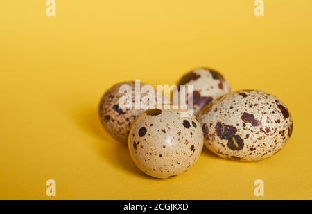 Vier Wachteleier liegen nebeneinander auf einem Nahaufnahme mit gelbem Hintergrund Stockfoto