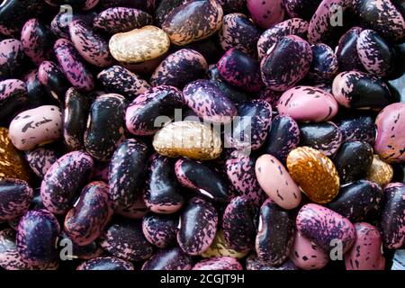 Kidney Beans Textur Hintergrund. Gesunde Lebensweise, richtige Ernährung, Vegetarismus, Bio-Lebensmittel-Konzept. Große bunte lila, rosa, gelbe Bohnen. Stockfoto