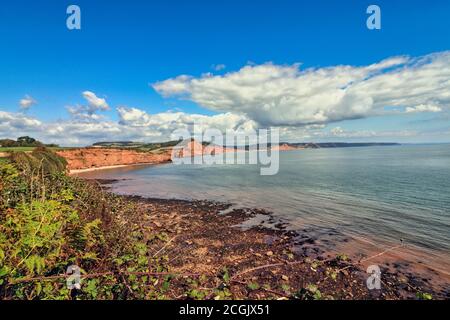 Küstenlandschaft in der Nähe von Ladram Bay, Devon Stockfoto