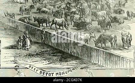 . Der Soldat in unserem Bürgerkrieg: Eine Bildgeschichte des Konflikts, 1861-1865, die den Tapferkeit des Soldaten, wie auf dem Schlachtfeld dargestellt, aus Skizzen gezeichnet von Forbes, Wad, Taylor, Beard, Becker, Lovie, Schell, Crane und zahlreichen anderen Augenzeugen des Streits darstellt. Stockfoto