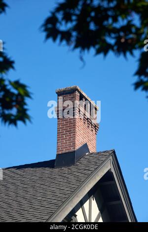 Roter gemauerter Kamin mit Kaminhaube auf dem Dach Von einem von Blättern umrahmten Haus Stockfoto