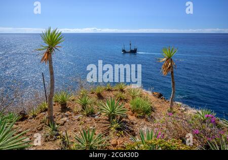 Replica Santa Maria Segelschiff in der Nähe von Camara de Lobos, Madeira Stockfoto