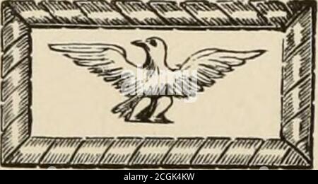 . Die Geschichte der Jugend des Krieges für die Union . Bbigadieb-Genebal. Stockfoto