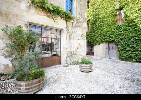 Alte Steinhäuser mit Klettereifeu in Lagrasse, Südfrankreich. Stockfoto