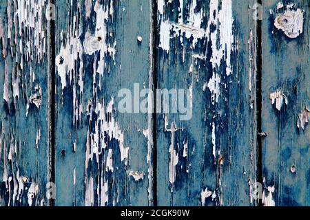 Aegean blau und saphirblau alt abblätternde Farbe auf Klapptafel Holz Verkleidung. Texturierter Hintergrund. Stockfoto