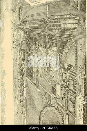 . Zickzackreisen in der Weißen Stadt. Mit Besuchen in der Nachbarmetropole. WOHNSITZ VON HERRN MCVEACH.. CHICAGO UND SEINE MACHER. 113 Stockfoto