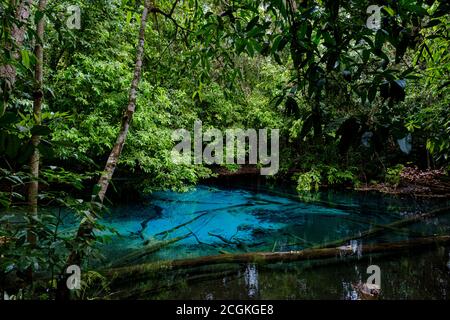 Blauer oder smaragdgrüner Pool im Nationalpark Sa Morakot, Krabi, Thailand. Fantastischer blauer See mitten im Regenwald. Stockfoto