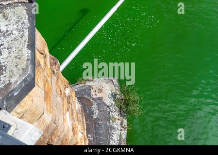 Draufsicht auf die spießförmigen Säulen der Eisenbahnbrücke, die im Fluss stehen. Stockfoto