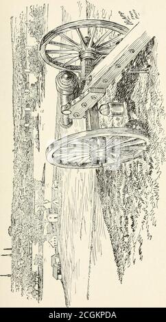 . Memoiren und Geschichte von Capt. F. W. Alexanders Baltimore Batterie der leichten Artillerie, U. S. V. . Holen Sie sich eine Tasse clearwater, aber es würde bald aufgerührt werden, und schlammig, die schnell mit einem dicken Sediment siedeln würde. Dieses Wasser war jedoch nicht ungesund, obwohl einer unserer Boys mit Typhus genommen wurde und in Petersburgwhile auf unserem Weg gelassen werden mußte, um ausgetauscht zu werden, und ein anderer, der kurz nach Ankunft in Camp Parol, in Annapolis von der gleichen Krankheit verfiel. Dies war der Suchende, der die Pistole, die die Munition Brust des Feindes bei Winchester explodierte und hatte sevaral andere bemerkenswerte goo Stockfoto