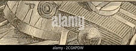 . Lloyd's Schlacht Geschichte der großen Rebellion : komplett, von der Einnahme von Fort Sumter, 14. April 1861, zur Einnahme von Jefferson Davis, 10. Mai 1865, umarmt General Howard's Tribut an den Freiwilligen ... und eine allgemeine Überprüfung des Krieges für die Gewerkschaft . Stockfoto