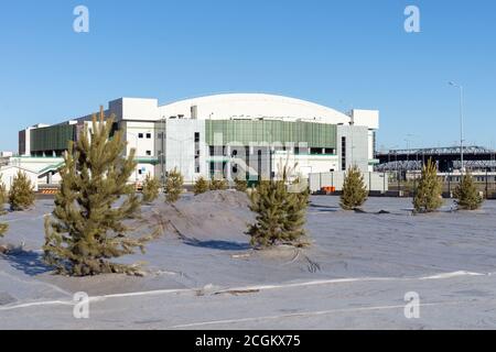 Pflanzen von Kiefern in der Nähe des Sportzentrums der Platinum Ice Arena in der Stadt Krasnoyarsk. Stockfoto