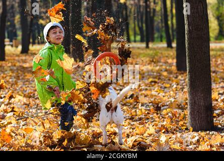Zwei glückliche Freunde, Hund und sein junger Besitzer, spielen im Herbst gefallene Blätter an sonnigen Herbsttag Stockfoto
