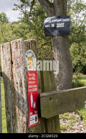 Schilder auf einem öffentlichen Fußweg warnen vor Hunden, die Schafe jagen, England, Großbritannien Stockfoto