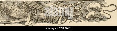 . Lloyd's Schlacht Geschichte der großen Rebellion : komplett, von der Einnahme von Fort Sumter, 14. April 1861, zur Einnahme von Jefferson Davis, 10. Mai 1865, umarmt General Howard's Tribut an den Freiwilligen ... und eine allgemeine Überprüfung des Krieges für die Gewerkschaft . Stockfoto