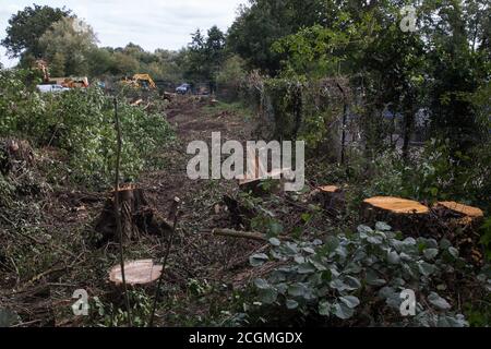 Denham, Großbritannien. September 2020. Ein Standort, an dem derzeit für die Hochgeschwindigkeitsschienenverbindung HS2 Baumfällung stattfindet. Für das HS2-Projekt im Colne Valley wurden bereits viele tausend Bäume gefällt und in Denham Green, Denham und Harefield findet derzeit der Baumschlag statt. Kredit: Mark Kerrison/Alamy Live Nachrichten Stockfoto