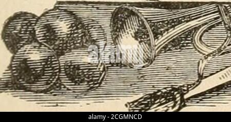 . Lloyd's Schlachtgeschichte der großen Rebellion : Vollständig, von der Gefangennahme von Fort Sumter, 14. April 1861, bis zur Gefangennahme von Jefferson Davis, 10. Mai 1865, wobei General Howard seine Anerkennung für den Freiwilligen einschließt ... und eine allgemeine Überprüfung des Krieges für die Gewerkschaft. gade hielt den Vormarsch vornehmlich durch den Tag. Die enemysposition war eine außerordentlich starke, auf Farden Hills, thremiles von Raymond. Die Schlacht wurde auf der Seite der Union von der Division General Logans ausgetragen. General Crockers kam gerade als die Aktion zu Ende war. Der gesamte konföderierte Verlust war 969; Unionloss, 442. JACKSON, FRÄULEIN. 14.Mai 1863 Stockfoto