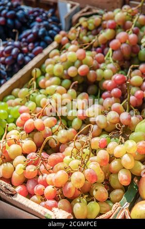 Trauben von verschiedenen Sorten von Trauben auf der Theke des Bauernmarktes. Trauben werden für den Verkauf vorbereitet. Trauben werden gesammelt Stockfoto