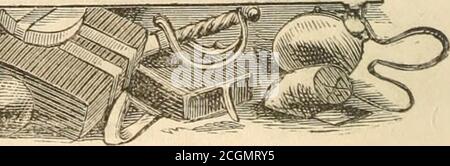 . Lloyd's Schlacht Geschichte der großen Rebellion : komplett, von der Einnahme von Fort Sumter, 14. April 1861, zur Einnahme von Jefferson Davis, 10. Mai 1865, umarmt General Howard's Tribut an den Freiwilligen ... und eine allgemeine Überprüfung des Krieges für die Gewerkschaft . Stockfoto