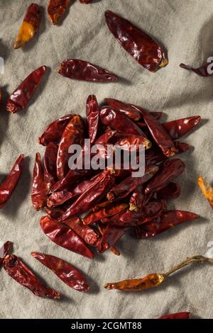 Trockene Bio-indische Sanaam Red Chili Peppers bereit zum Kochen Stockfoto