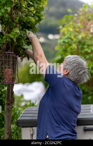 Ältere Dame, die Baum schneidet, die Hausgartenarbeit mit Baumfällern macht. Stockfoto