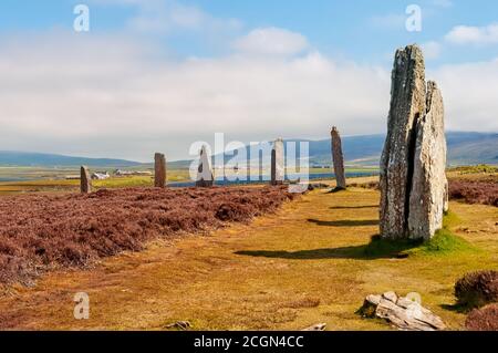 Standing Stones of Stenness stammt aus mindestens 3100 v. Chr. und sind Teil des neolithischen Orkney UNESCO-Weltkulturerbes, Schottland, Großbritannien Stockfoto