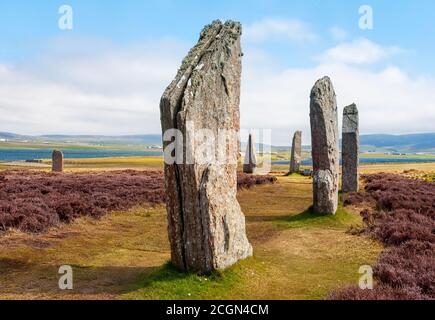 Standing Stones of Stenness stammt aus mindestens 3100 v. Chr. und sind Teil des neolithischen Orkney UNESCO-Weltkulturerbes, Schottland, Großbritannien Stockfoto